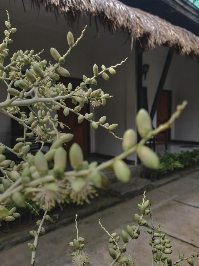Mimi Kuta Homestay 外观 照片